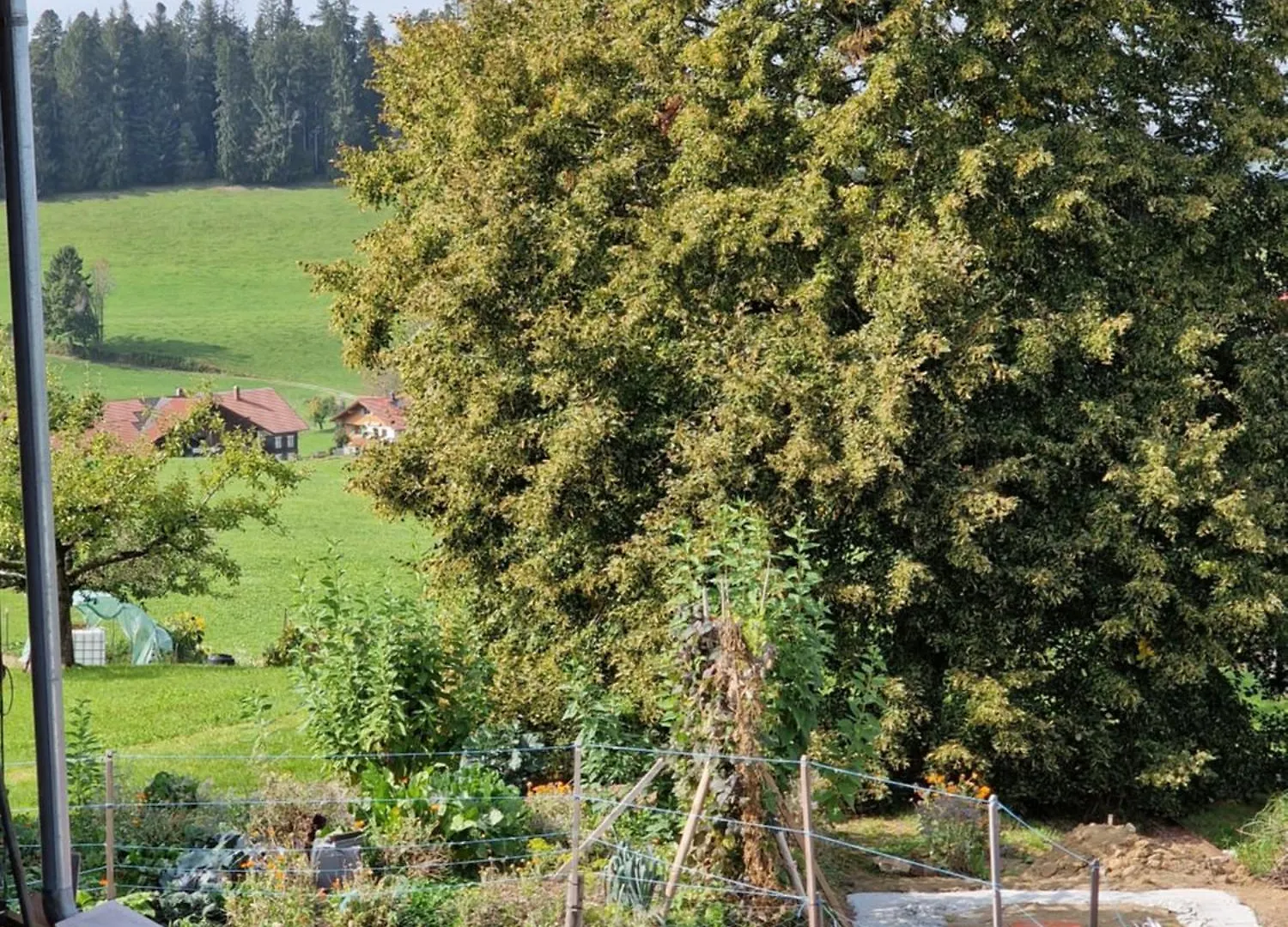 Der Perfekte Ausgangspunkt Apartment Weiler-Simmerberg 0*,  Germany